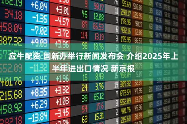 应牛配资 国新办举行新闻发布会 介绍2025年上半年进出口情况 新京报