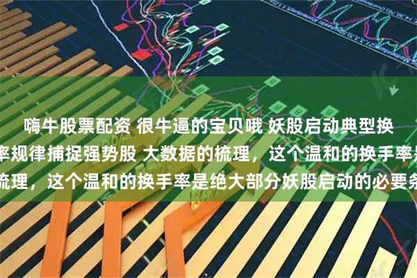 嗨牛股票配资 很牛逼的宝贝哦 妖股启动典型换手特点 掌握首板换手率规律捕捉强势股 大数据的梳理，这个温和的换手率是绝大部分妖股启动的必要条件