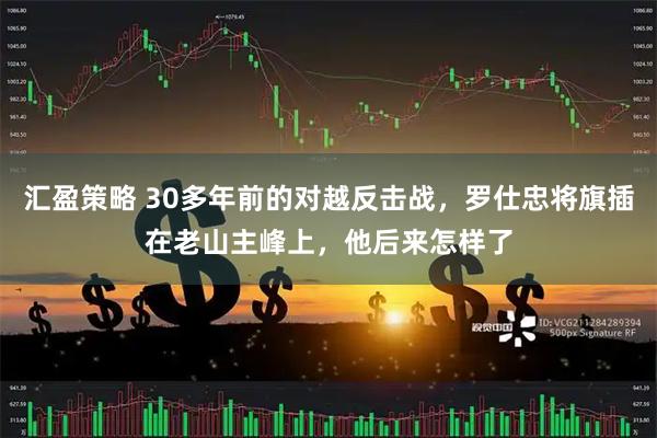 汇盈策略 30多年前的对越反击战，罗仕忠将旗插在老山主峰上，他后来怎样了